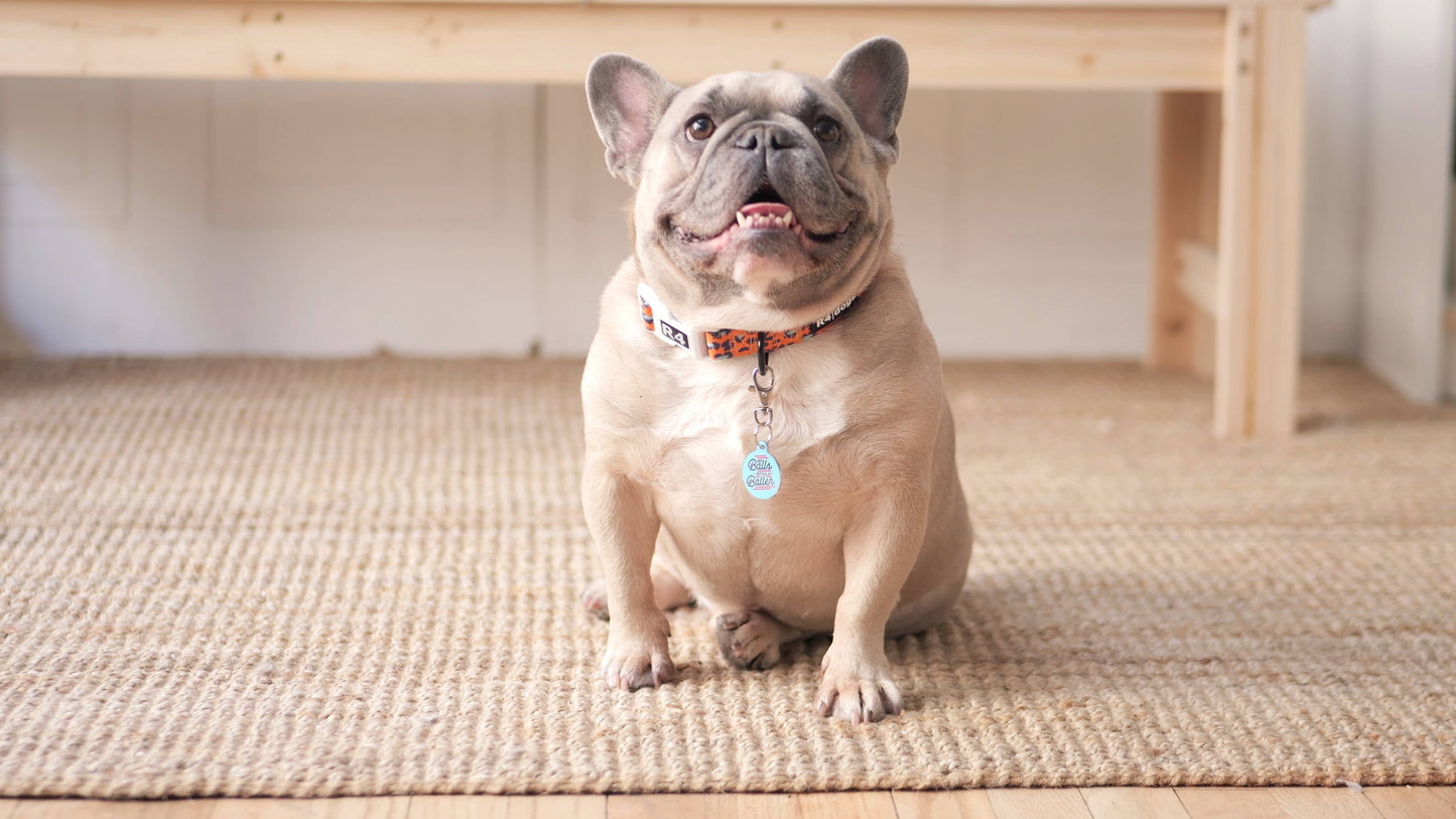 Bad Tags - Personalized Pet ID Tag w/QR Code - No Balls Still a Baller