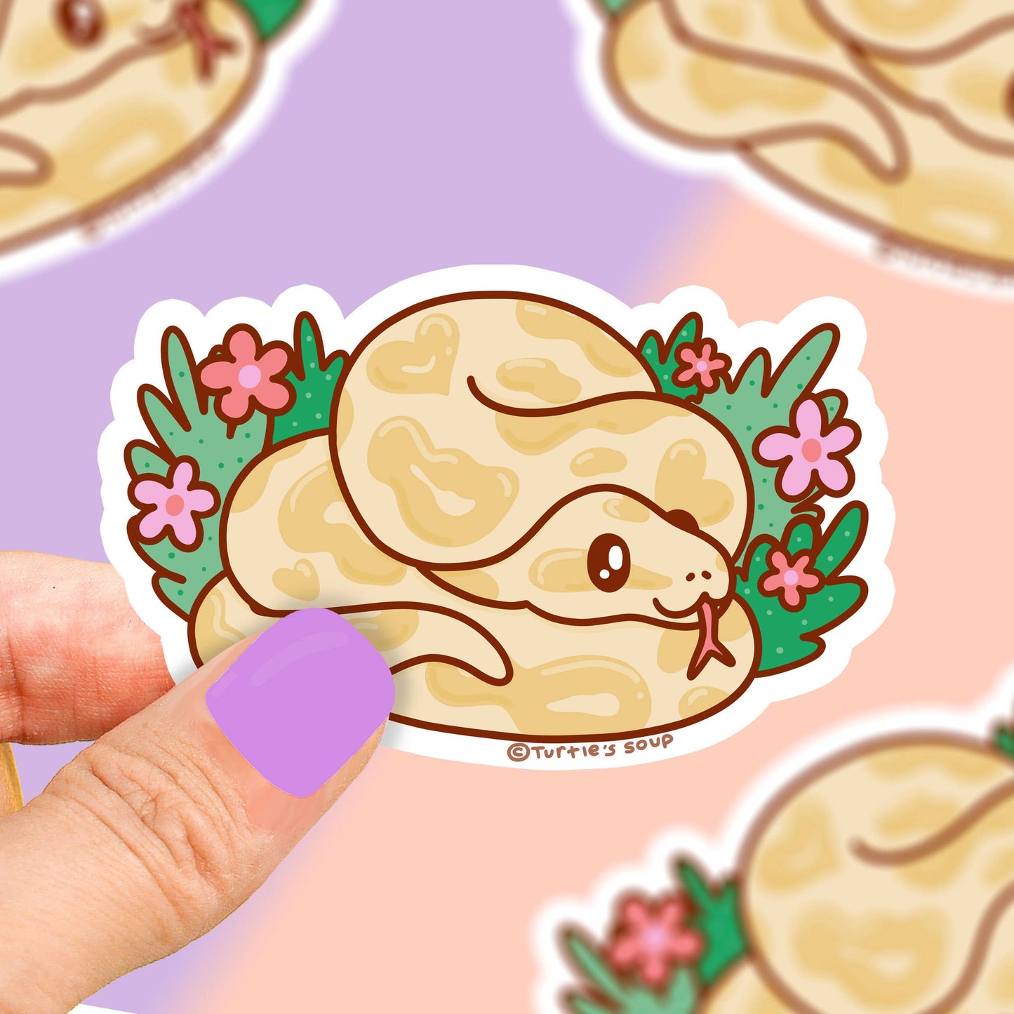 Ball Python Snake Pet Store Vinyl Sticker